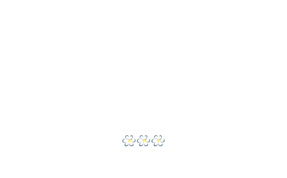 Schattmair Hof, Dorf Tirol